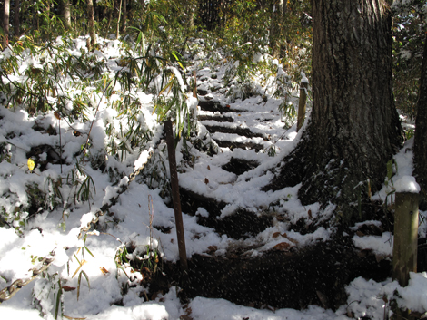 20161125hike (39)